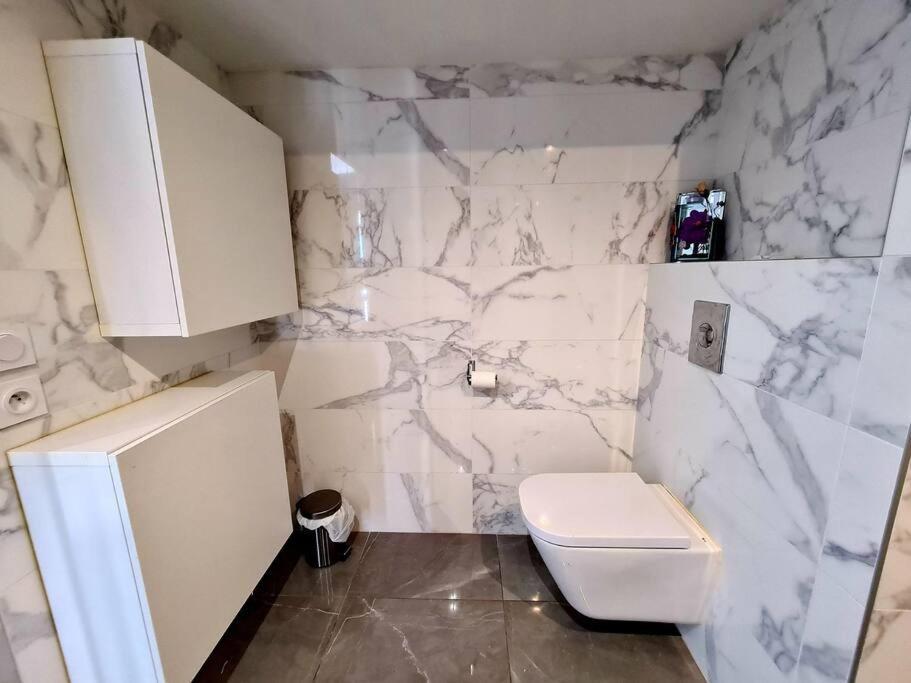 Grand Appartement Avec Vue Magnifique - Vercors - Une Experience Unique - Wifi Gratuit Grenoble Exterior foto